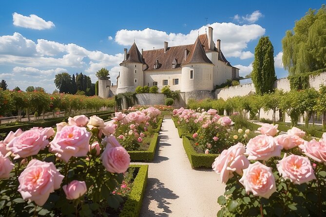 Private Day Trip From Paris to Provins and Back, Local Driver - Frequently Asked Questions