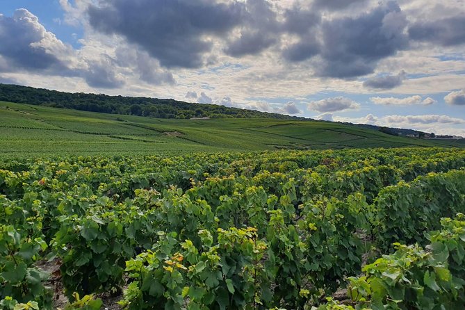 Private Day Trip From Paris to Reims and the Champagne Region - Reviews and Ratings