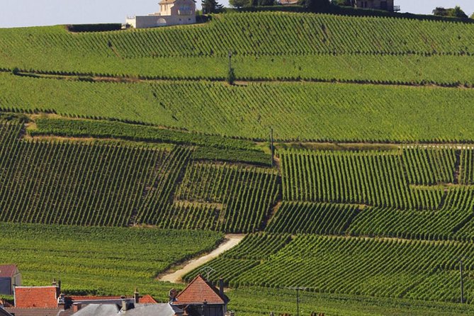 Private Day Trip From Paris to Reims and the Champagne Region - Specific Review Examples
