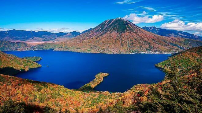 Private Day Trip From Tokyo to Nikko: Explore World Heritage - Dining Options