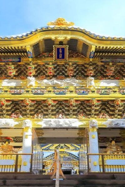 Private Day Trip From Tokyo to Nikko: Explore World Heritage - Customization Options