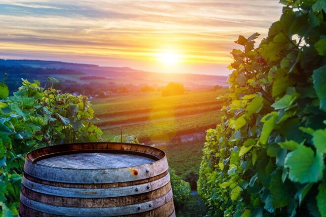 Private Day Trip From Vienna to Lednice, Valtice and Mikulov - Inclusions and Exclusions