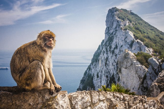 *Private Day Trip* Gibraltar and Vejer From Cádiz - Tour Highlights