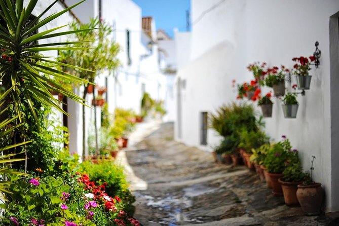 *Private Day Trip* Gibraltar and Vejer From Cádiz - The Sum Up