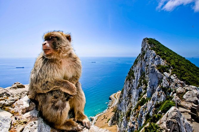 *Private Day Trip* Gibraltar & Bolonia From Cádiz - Reviews