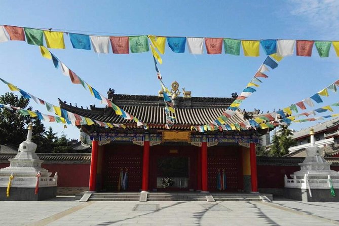 Private Day Trip of Xian Religious Experience - Explore Chinese Buddhism at Daxingshan Temple