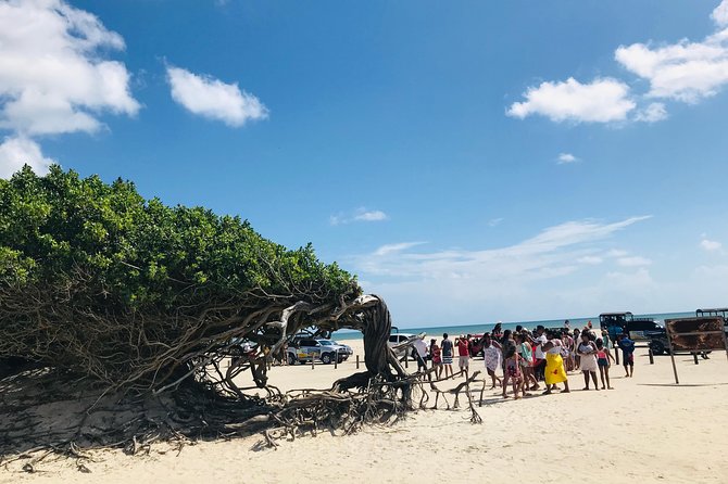 Private Day Trip on the East Coast Jericoacoara - Itinerary Overview