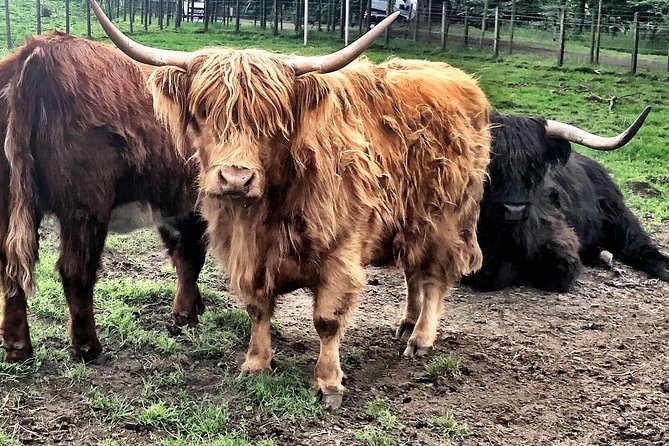 Private Day Trip Outlander Filming Locations From Edinburgh - Tour Details