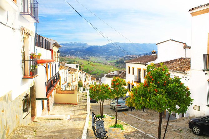 *Private Day Trip* Ronda and Setenil De Las Bodegas From Jerez - Pricing