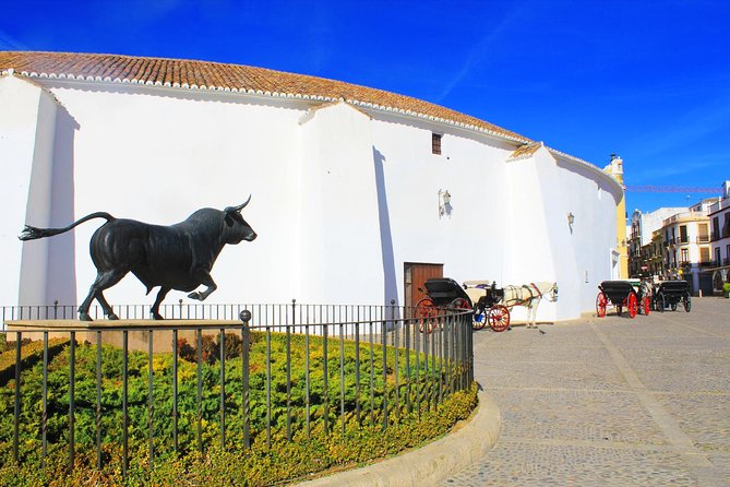 *Private Day Trip* Ronda and Setenil De Las Bodegas From Jerez - The Sum Up