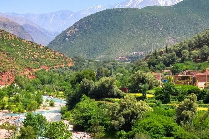 Private Day Trip to Atlas Mountains - Meeting and Pickup