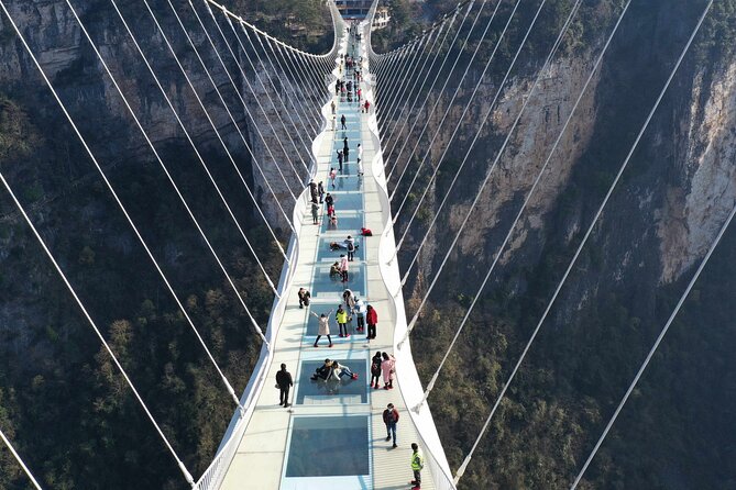 Private Day Trip to Avatar Mountain & Glass Bridge With Lunch - Trip Overview