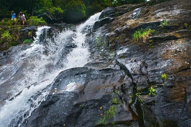 Private Day Trip to Bach Ma National Park From Hue - Authentic Reviews and Rating