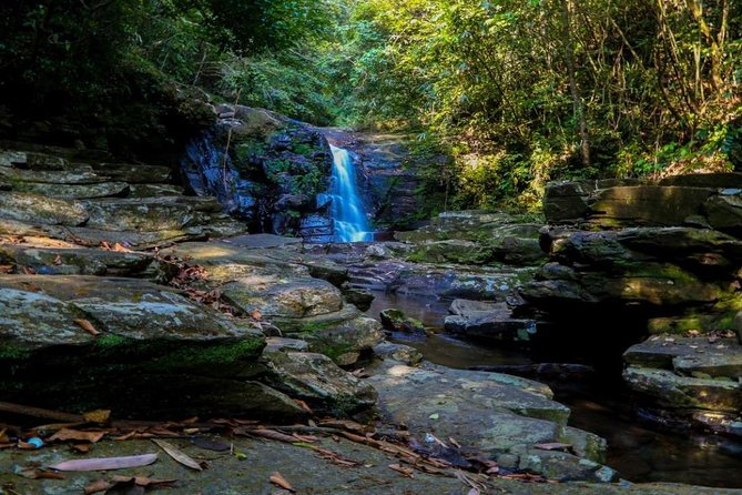 Private Day Trip to Bach Ma National Park From Hue - Pricing and Company Information