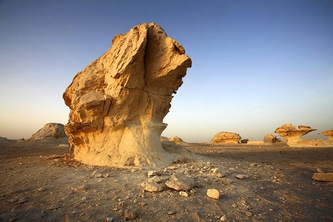 Private Day Trip to Bahariya Oasis With Black Sahara From Cairo - Inclusions and Exclusions