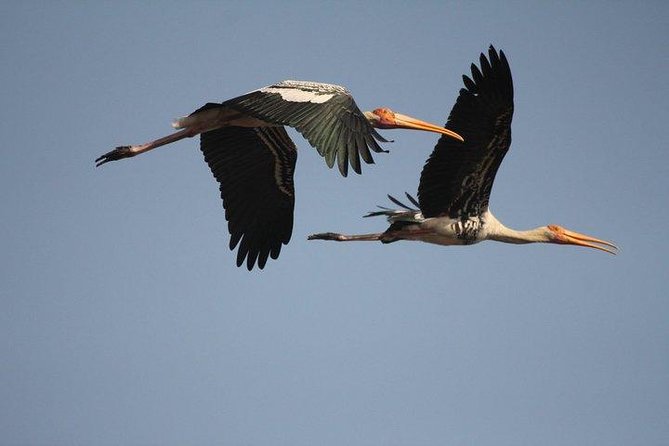 Private Day-Trip to Bharatpur Bird Sanctuary From Agra - Pickup and Ticket Details
