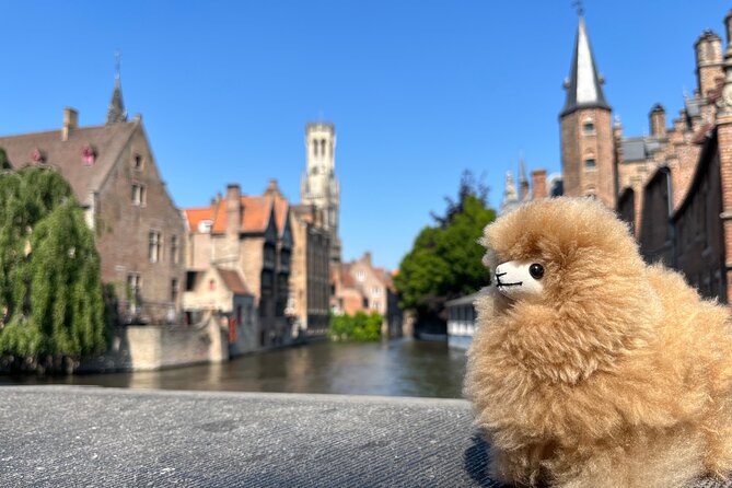 Private Day Trip to Bruges From Brussels - Contact Information