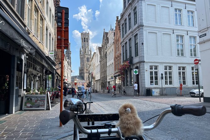 Private Day Trip to Bruges From Brussels - Experience Details