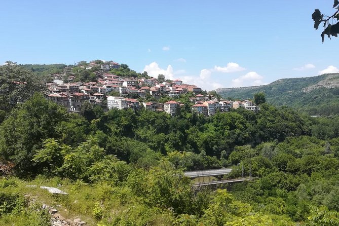 Private Day Trip to Bulgaria and Veliko Tarnovo From Bucharest - Reviews