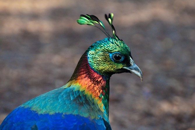 Private Day Trip to Central Zoo at Jawalakhel - Common Questions