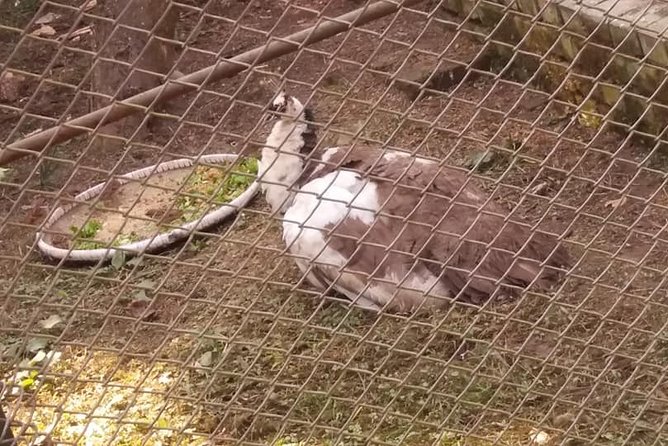 Private Day Trip To Central Zoo At Jawalakhel, Kathmandu - Additional Information