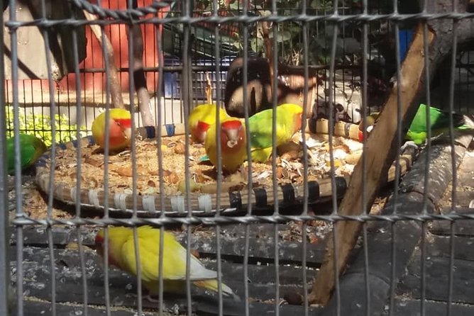 Private Day Trip To Central Zoo At Jawalakhel, Kathmandu - Common Questions