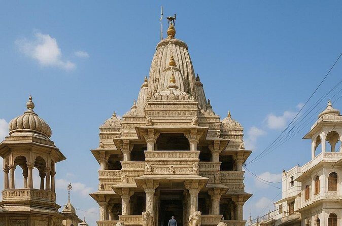 Private Day Trip to City Palace, Lake Pichola Temples in Udaipur - Who Is This Tour For?