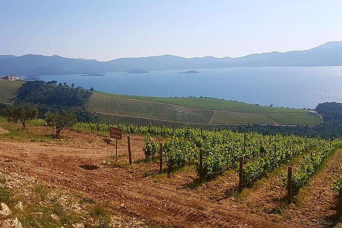 Private Day Trip to Dubrovnik from Split - FAQ