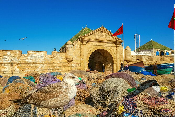 Private Day Trip to Essaouira and Argan Forest From Marrakech - Destination Overview