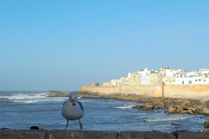 Private Day Trip to Essaouira From Marrakech - Accessibility Information for Visitors