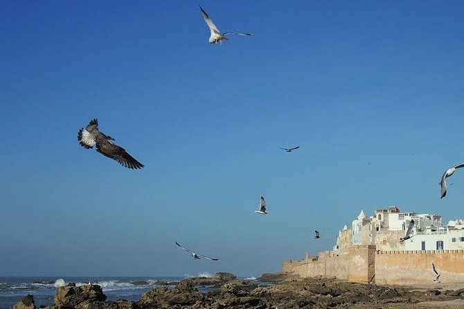 Private Day Trip to Essaouira From Marrakech - Directions for Meeting Point and Pickup