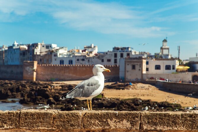 Private Day Trip to Essaouira From Marrakesh - Highlights of the Day Trip
