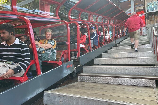 Private Day Trip to Featherdale, Scenic World and Three Sisters - A Closer Look at What You Can Expect