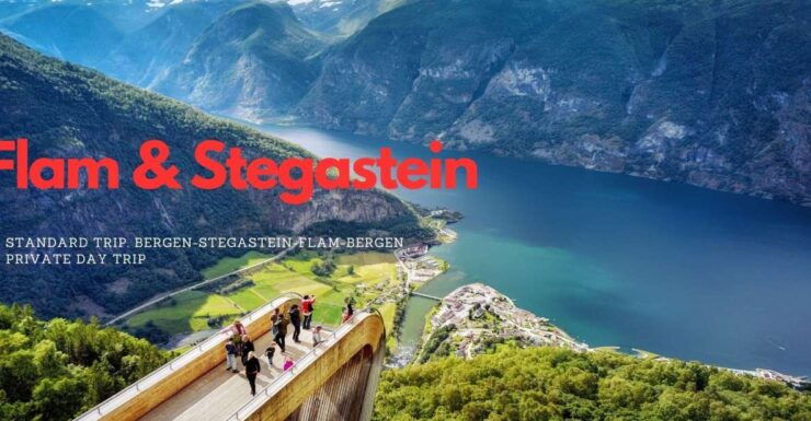 Private Day Trip to Flam & Stegastein - Experience Highlights