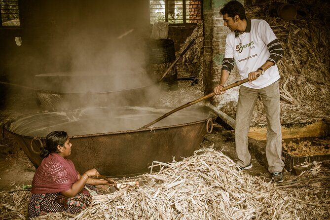 Private Day Trip to Gangaikonda Cholapuram with Guide and Lunch - What to Expect During the Tour