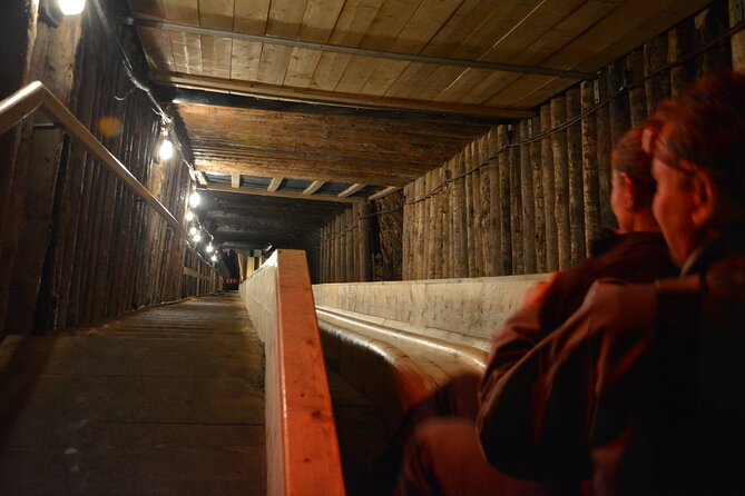 Private Day Trip to Hallstat & Salt Mine From Vienna With a Local - Itinerary Details