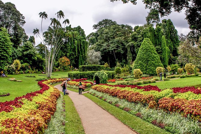 Private Day Trip To Highlights in Kandy. - Accessibility Information