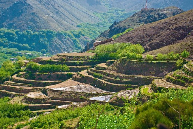 Private : Day Trip to Imlil Atlas Mountains From Marrakech - Pickup and Drop-off Information