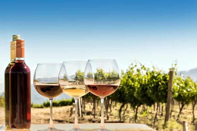 Private Day Trip to Kakheti Wine Region Including Wine Tasting - The Sum Up