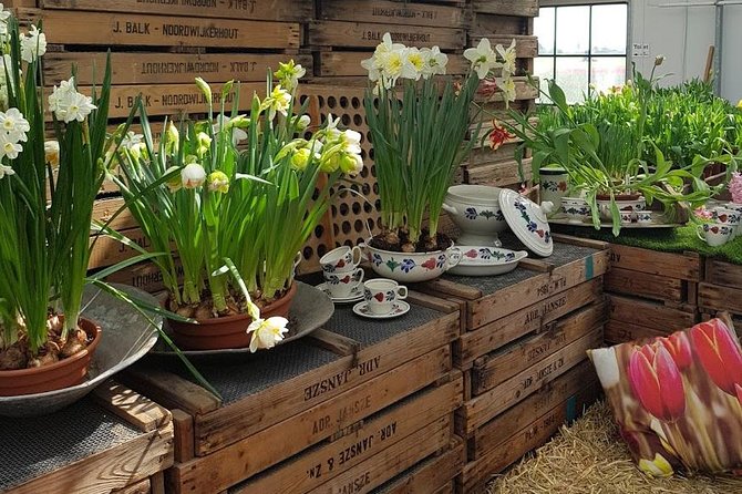 Private Day-trip to Keukenhof Gardens: Millions of Flowers in Bloom - Highlights of Keukenhof Gardens