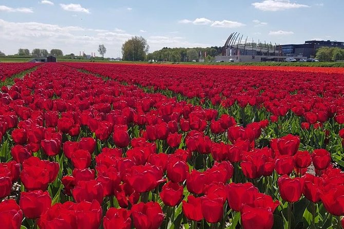 Private Day-trip to Keukenhof Gardens: Millions of Flowers in Bloom - The Sum Up