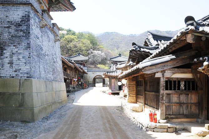 Private Day Trip to Korean Folk Village & Dae Jang Geum Park - Overview of the Private Day Trip