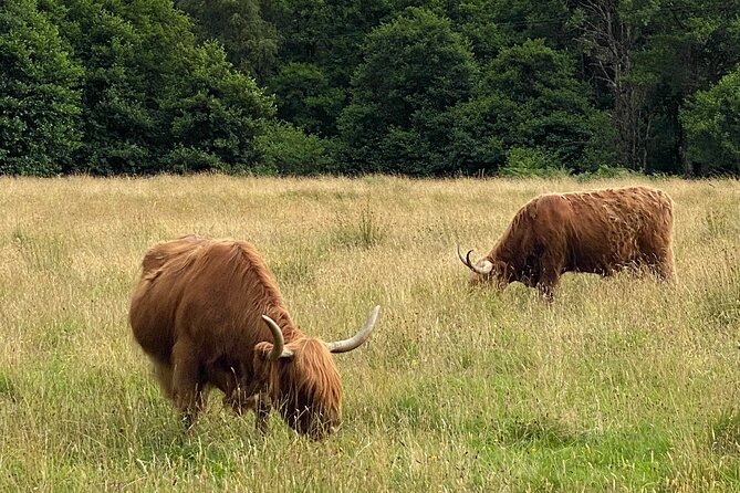 Private Day Trip to Loch Ness and Scottish Highlands via Glencoe - Itinerary Overview