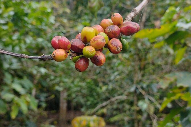 Private day trip to Magical San Sebastián del Oeste. - The Sum Up