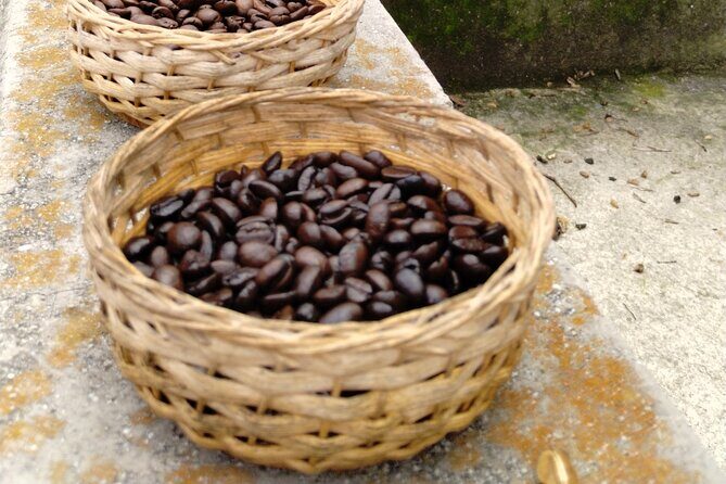 Private day trip to Magical San Sebastián del Oeste. - FAQ