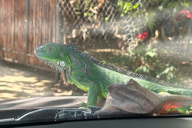 Private Day Trip to Mazunte and Zipolite - Overview and Highlights of the Itinerary