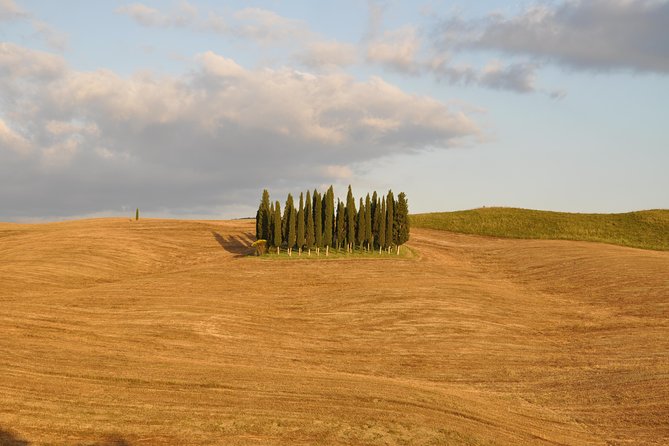 Private Day Trip to Montalcino and Montepulciano From Florence - Highlights and Activities