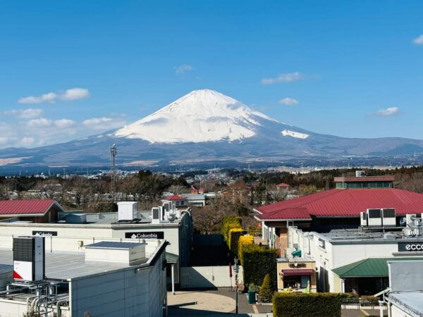 Private Day Trip to Mt. Fuji, Hakone, and Premium Outlets - Frequently Asked Questions