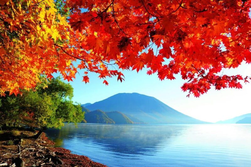 Private Day trip to Nikko with English speaking Guides - What to Expect and Practical Tips