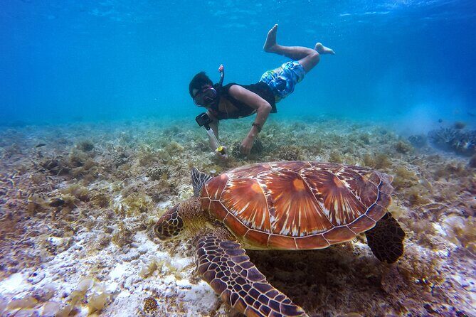 Private Day trip to Nusa Penida Snorkeling 4 Spots + Land Tour - Who Is This Tour Best For?